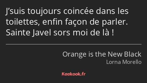 J’suis toujours coincée dans les toilettes, enfin façon de parler. Sainte Javel sors moi de là !