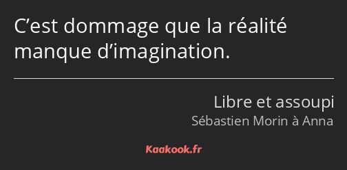 C’est dommage que la réalité manque d’imagination.