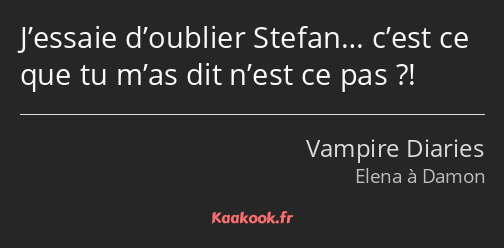 J’essaie d’oublier Stefan… c’est ce que tu m’as dit n’est ce pas ?!