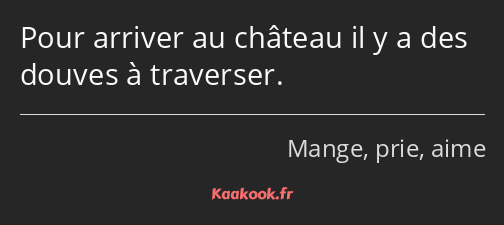 Pour arriver au château il y a des douves à traverser.