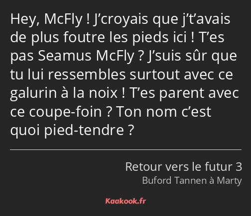 Hey, McFly ! J’croyais que j’t’avais de plus foutre les pieds ici ! T’es pas Seamus McFly ? J’suis…