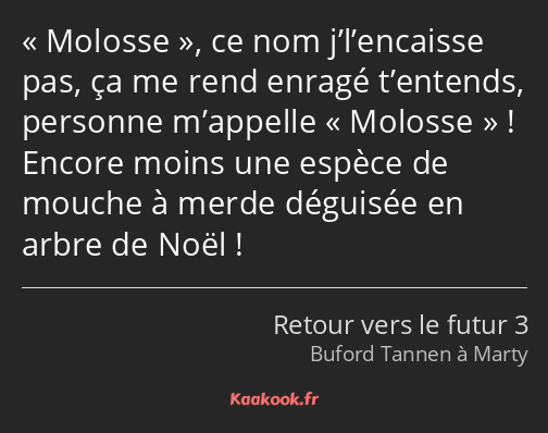 Molosse, ce nom j’l’encaisse pas, ça me rend enragé t’entends, personne m’appelle Molosse ! Encore…