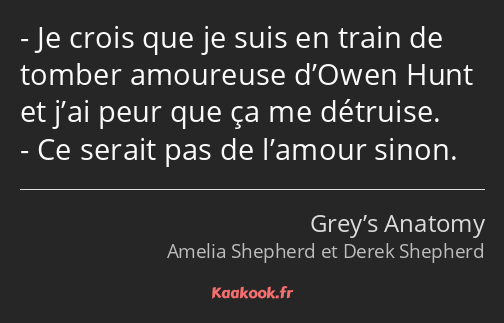 Je crois que je suis en train de tomber amoureuse d’Owen Hunt et j’ai peur que ça me détruise. Ce…