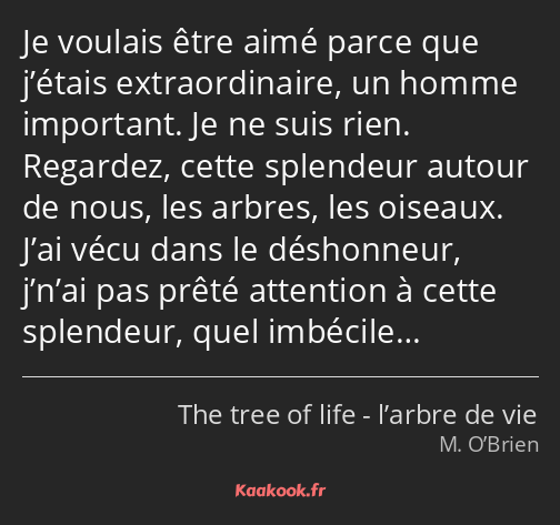 Je voulais être aimé parce que j’étais extraordinaire, un homme important. Je ne suis rien…