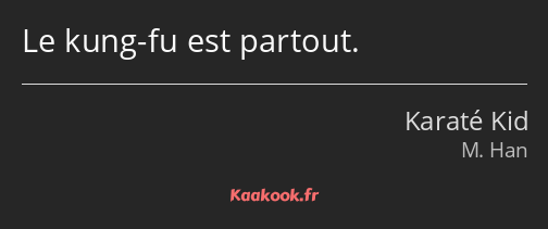 Le kung-fu est partout.