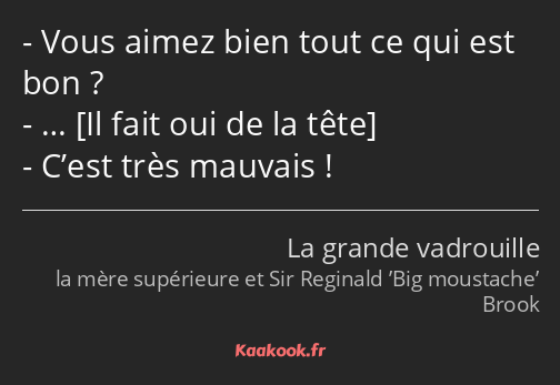 Vous aimez bien tout ce qui est bon ? … C’est très mauvais !