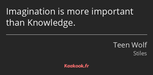 Imagination is more important than Knowledge.