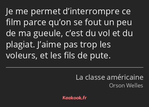 Je me permet d’interrompre ce film parce qu’on se fout un peu de ma gueule, c’est du vol et du…