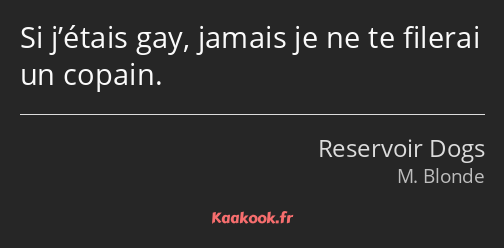 Si j’étais gay, jamais je ne te filerai un copain.