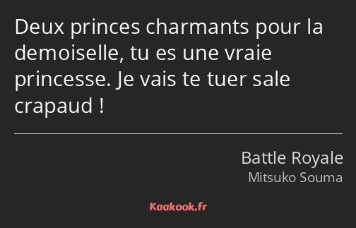 Deux princes charmants pour la demoiselle, tu es une vraie princesse. Je vais te tuer sale crapaud !