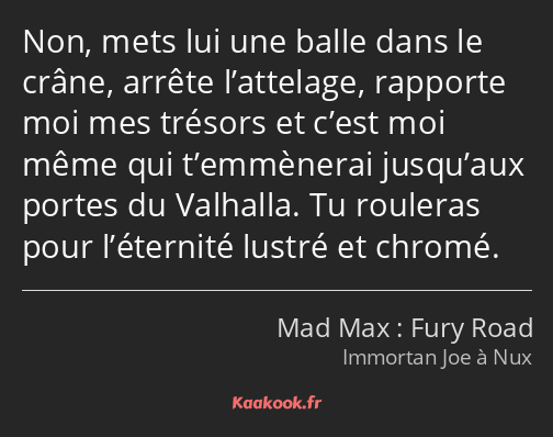 Non, mets lui une balle dans le crâne, arrête l’attelage, rapporte moi mes trésors et c’est moi…