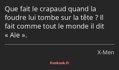 Que fait le crapaud quand la foudre lui tombe sur la tête ? Il fait comme tout le monde il dit Aïe.