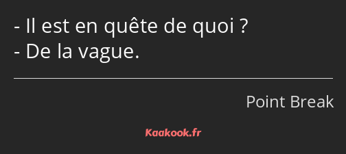 Il est en quête de quoi ? De la vague.