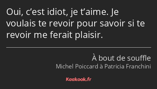 Oui, c’est idiot, je t’aime. Je voulais te revoir pour savoir si te revoir me ferait plaisir.