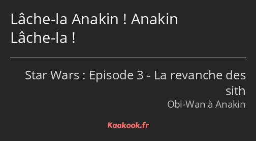 Lâche-la Anakin ! Anakin Lâche-la !