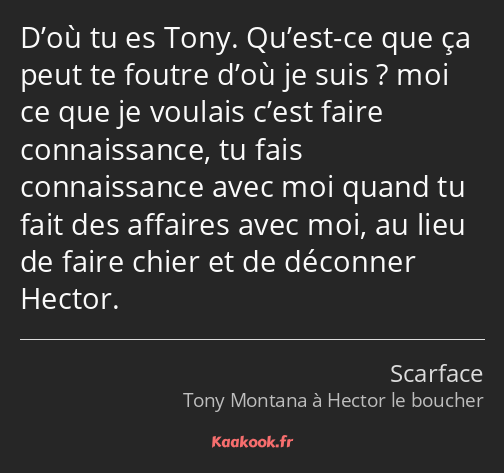 D’où tu es Tony. Qu’est-ce que ça peut te foutre d’où je suis ? moi ce que je voulais c’est faire…