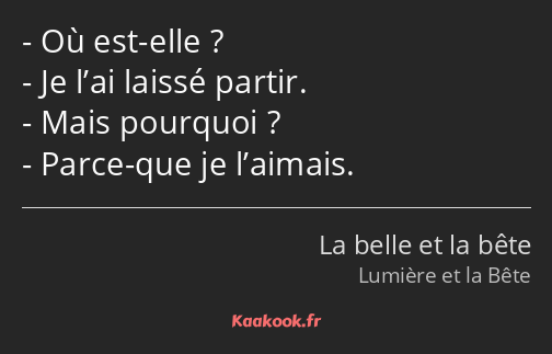 Où est-elle ? Je l’ai laissé partir. Mais pourquoi ? Parce-que je l’aimais.