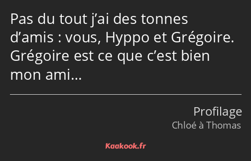 Pas du tout j’ai des tonnes d’amis : vous, Hyppo et Grégoire. Grégoire est ce que c’est bien mon…