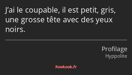 J’ai le coupable, il est petit, gris, une grosse tête avec des yeux noirs.