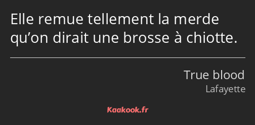 Elle remue tellement la merde qu’on dirait une brosse à chiotte.