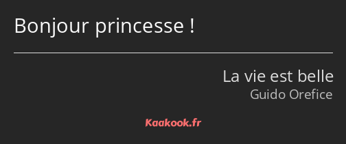 Bonjour princesse !