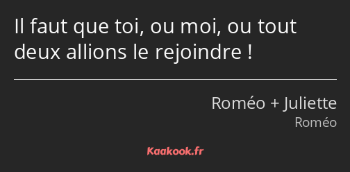 Il faut que toi, ou moi, ou tout deux allions le rejoindre !