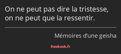 On ne peut pas dire la tristesse, on ne peut que la ressentir.