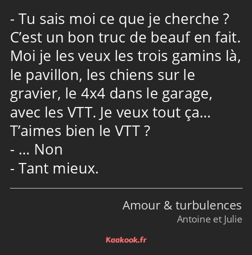 Tu sais moi ce que je cherche ? C’est un bon truc de beauf en fait. Moi je les veux les trois…