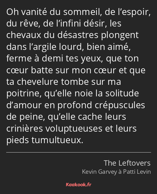 Oh vanité du sommeil, de l’espoir, du rêve, de l’infini désir, les chevaux du désastres plongent…