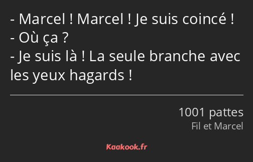 Marcel ! Marcel ! Je suis coincé ! Où ça ? Je suis là ! La seule branche avec les yeux hagards !