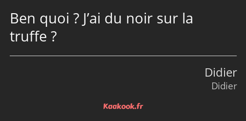 Ben quoi ? J’ai du noir sur la truffe ?