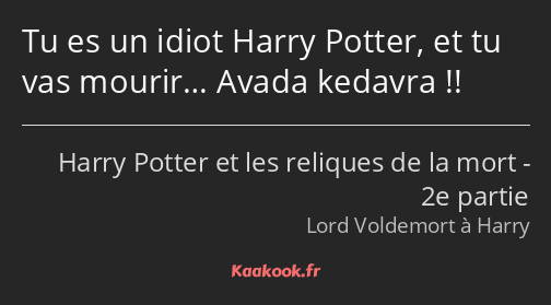 Tu es un idiot Harry Potter, et tu vas mourir… Avada kedavra !!