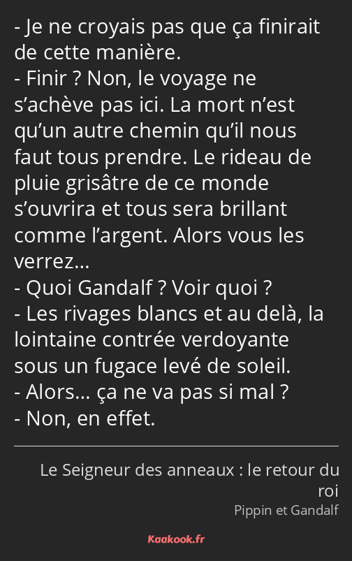 Je ne croyais pas que ça finirait de cette manière. Finir ? Non, le voyage ne s’achève pas ici. La…