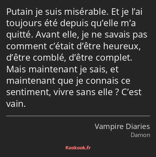 Putain je suis misérable. Et je l’ai toujours été depuis qu’elle m’a quitté. Avant elle, je ne…