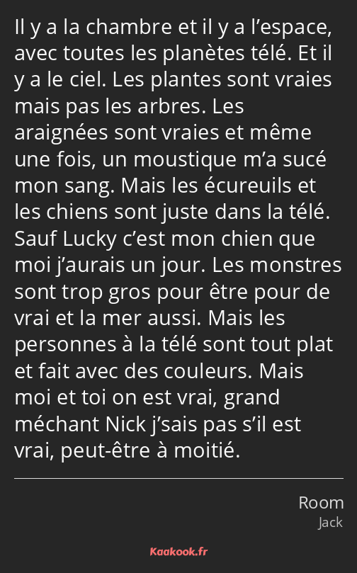 Il y a la chambre et il y a l’espace, avec toutes les planètes télé. Et il y a le ciel. Les plantes…