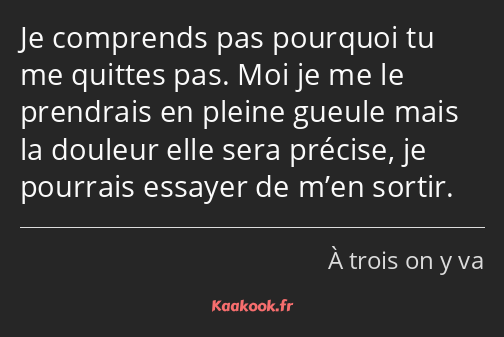Je comprends pas pourquoi tu me quittes pas. Moi je me le prendrais en pleine gueule mais la…