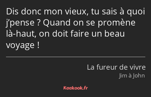 Dis donc mon vieux, tu sais à quoi j’pense ? Quand on se promène là-haut, on doit faire un beau…