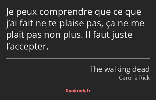 Je peux comprendre que ce que j’ai fait ne te plaise pas, ça ne me plait pas non plus. Il faut…