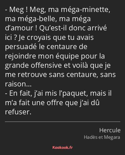 Meg ! Meg, ma méga-minette, ma méga-belle, ma méga d’amour ! Qu’est-il donc arrivé ici ? Je croyais…