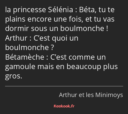 Béta, tu te plains encore une fois, et tu vas dormir sous un boulmonche ! C’est quoi un boulmonche…