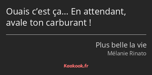 Ouais c’est ça… En attendant, avale ton carburant !