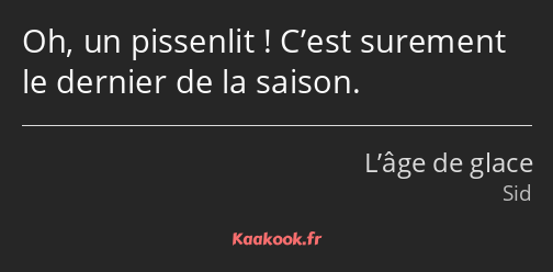 Oh, un pissenlit ! C’est surement le dernier de la saison.