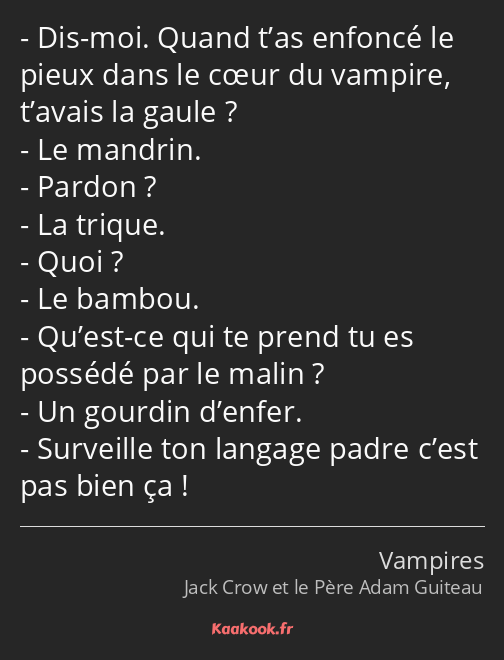 Dis-moi. Quand t’as enfoncé le pieux dans le cœur du vampire, t’avais la gaule ? Le mandrin. Pardon…