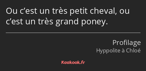 Ou c’est un très petit cheval, ou c’est un très grand poney.