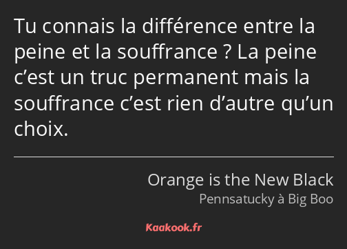 Tu connais la différence entre la peine et la souffrance ? La peine c’est un truc permanent mais la…