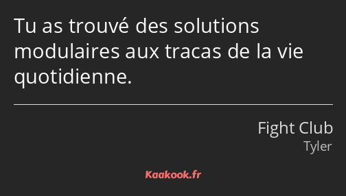 Tu as trouvé des solutions modulaires aux tracas de la vie quotidienne.