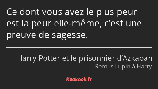 Ce dont vous avez le plus peur est la peur elle-même, c’est une preuve de sagesse.