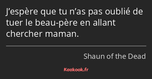 J’espère que tu n’as pas oublié de tuer le beau-père en allant chercher maman.