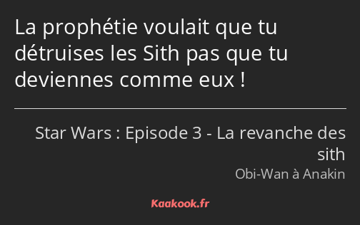 La prophétie voulait que tu détruises les Sith pas que tu deviennes comme eux !