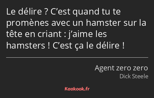 Le délire ? C’est quand tu te promènes avec un hamster sur la tête en criant : j’aime les hamsters…